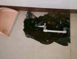 合肥卫生间测漏水多少钱